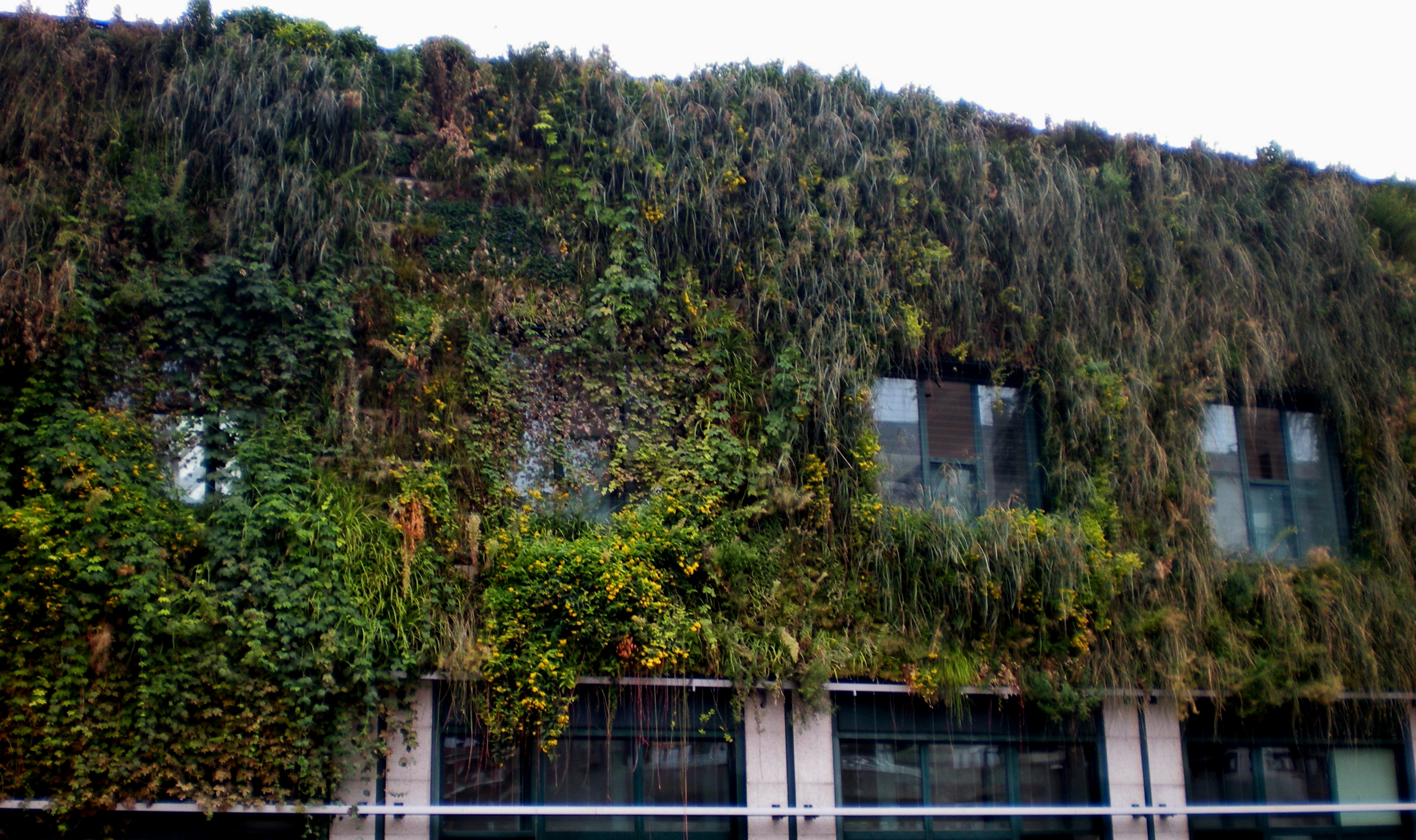 jardines verticales-2